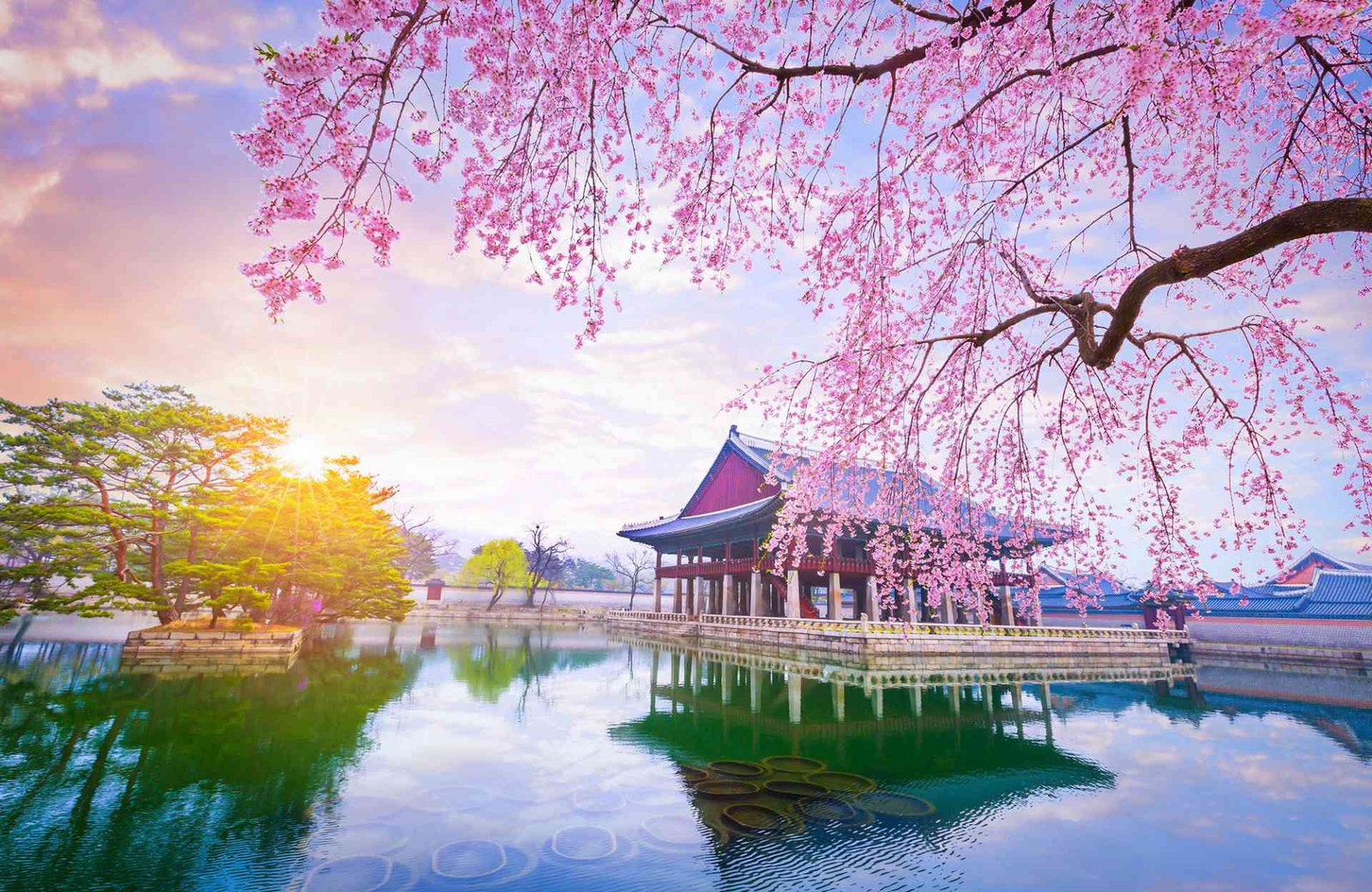 Discovering Local Korea: A Family’s Journey Through Culture and Adventure