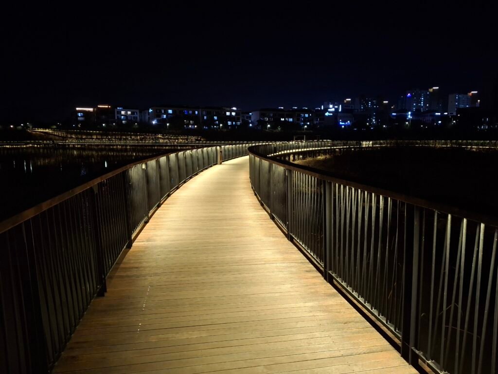 Wild Otters in Korea