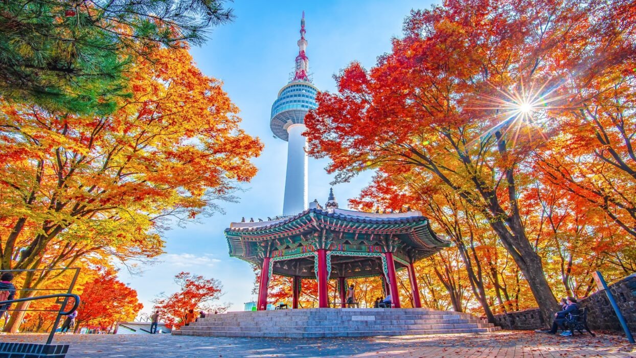 Experiencing Family Life in South Korea: A Local Perspective
